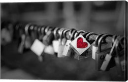 Pop of Color A Locks of Love to Go Around by Color Me Happy