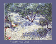 Olive Orchard by Vincent Van Gogh