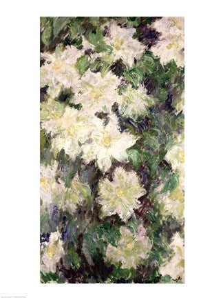 White Clematis, 1887 by Claude Monet