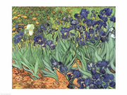Irises, 1889 by Vincent Van Gogh