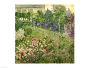 Daubigny's garden, 1890 by Vincent Van Gogh