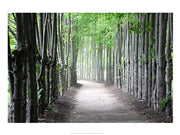 Limbs by Delaney Flanders