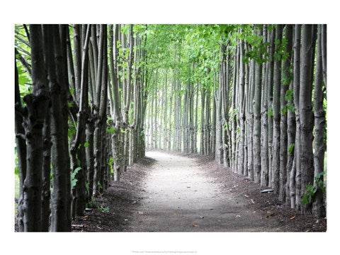 Limbs by Delaney Flanders