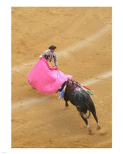 Matador Bullfight