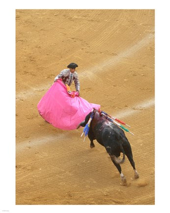 Matador Bullfight