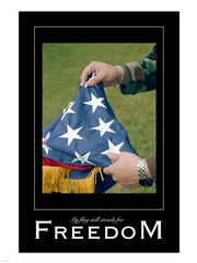 Freedom Affirmation Poster, USAF
