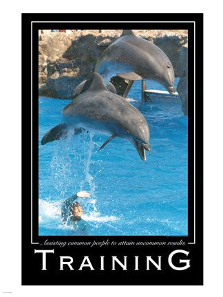 Training Affirmation Poster, USAF