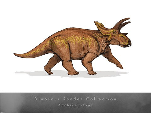 Anchiceratops