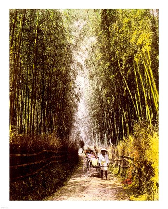 Bamboo Path