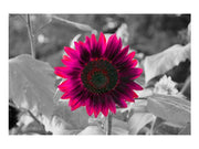 Burst by Delaney Flanders