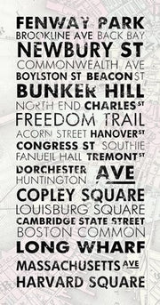 Boston Cities I by Veruca Salt