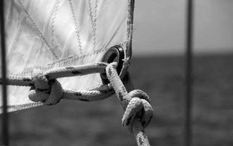 Loopholes by Delaney Flanders