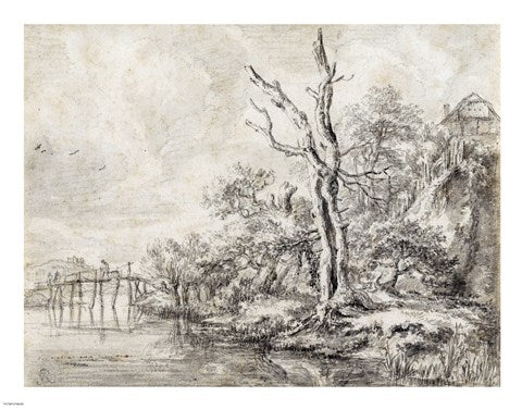Dead Tree by a Stream at the Foot of a Hill by Jacob Van Ruisdael