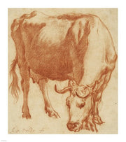 A Cow Grazing by Adriaen van de Velde
