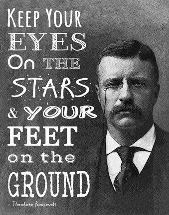 Keep Your Eyes On the Stars and Your Feet On the Ground - Theodore Roosevelt by Veruca Salt