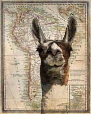 South America Llama Map by Take Me Away