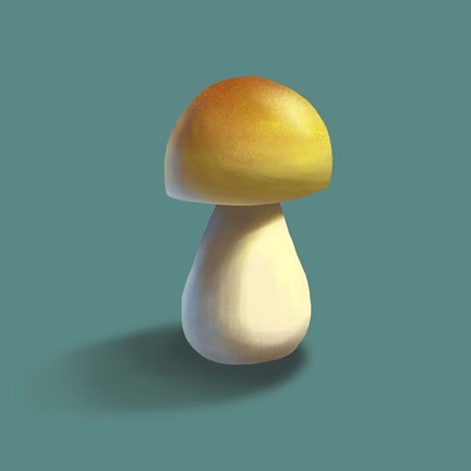 Mushroom on Teal Background Part II by Color Me Happy