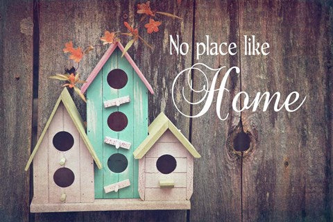 No Place Like Home Bird Houses by Color Me Happy