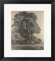 Framed Art Frame Art Elm trees in Old Hall Park by John Constable Wall Decor 18x24 Artwork