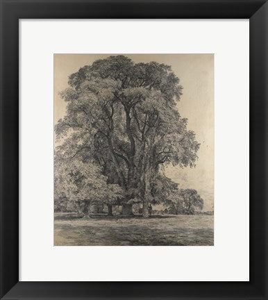 Framed Art Frame Art Elm trees in Old Hall Park by John Constable Wall Decor 18x24 Artwork