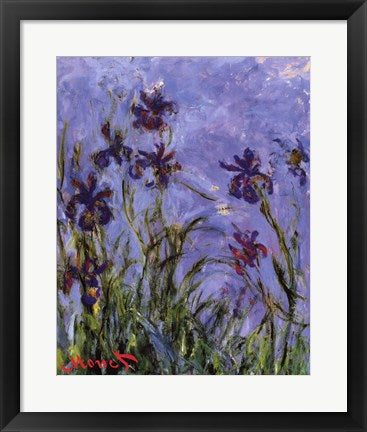 Framed Art Iris by Claude Monet Wall Decor 18x24 Artwork