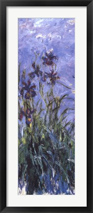 Framed Art Irises by Claude Monet Wall Decor 18x24 Artwork