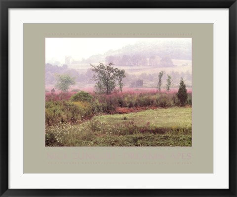 Framed Dreamscapes: Morning Meadow by Nick Zungoli | 23 x 29