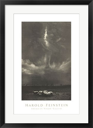 Framed Sheep Under Clouds, 1958 by Harold Feinstein | 26 x 17 1/2