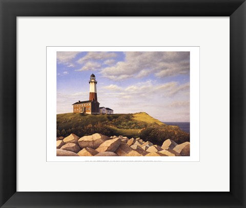 Framed Art Turtle Cove Hill (mini) by Daniel Pollera | 9 x 11 7/8
