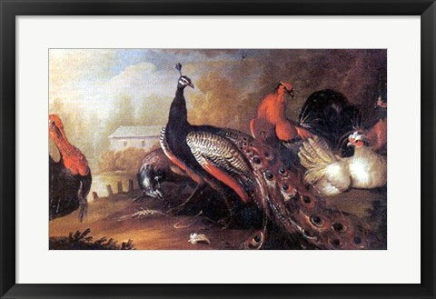 Framed Peacock and Pheasant by Marmaduke Craddock | 20 ¼ x 27 ¼