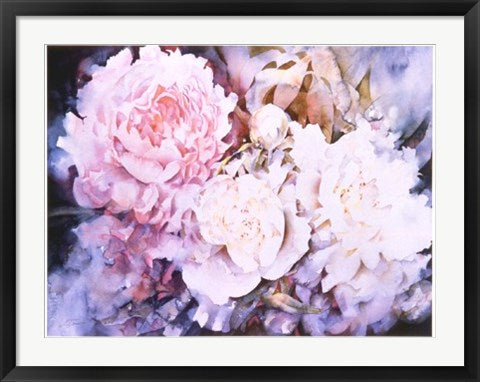 Framed Peonies by David Maddern | 24 x 32