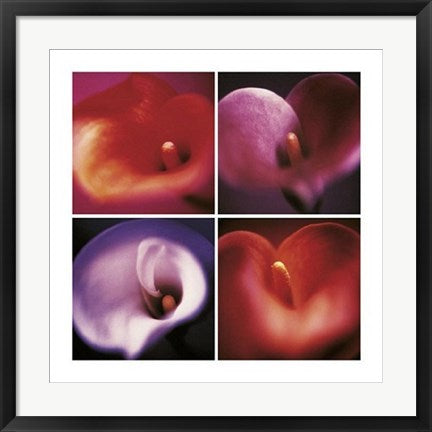 Framed Four Calla Lilies by Anna Halm-Schudel | 23 1/2 x 23 1/2
