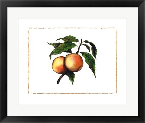 Framed Art Moorpark Apricot by Morgan Kari | 15 3/4 x 19 3/4