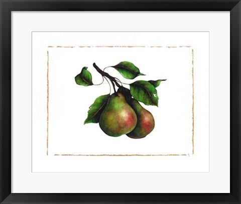 Framed Art Comice Pear by Morgan Kari | 15 3/4 x 19 3/4