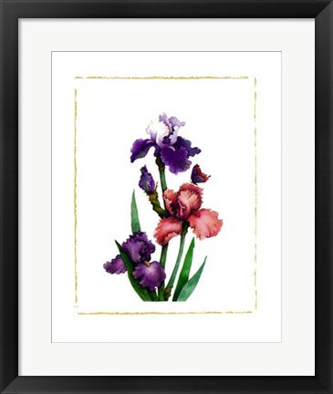 Framed Art Irises of Spring II by Morgan Kari | 19 3/4 x 15 3/4