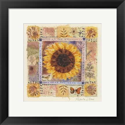 Framed Art Sunflower by Petula Stone | 11 3/4 x 11 3/4
