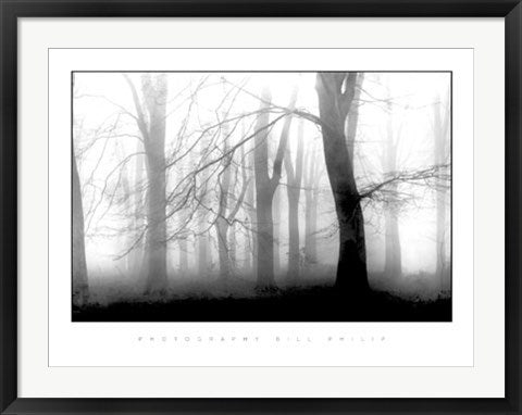 Framed Misty Morning by Bill Philip | 23 1/2 x 31 1/2