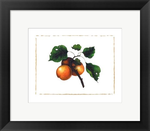 Framed Art Goldmine Nectarine by Morgan Kari | 9 1/2 x 11 3/4