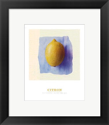 Framed Art Citrone by Julyan Rawlings | 11 3/4 x 9 1/2