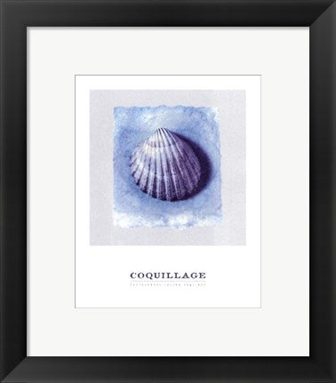 Framed Art Coquillage by Julyan Rawlings | 11 3/4 x 9 1/2