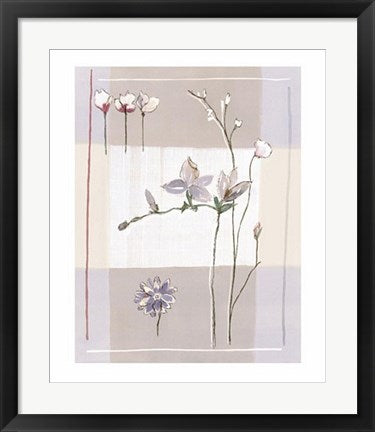 Framed Impression Florale II by Stephanie Flateau | 23 1/2 x 19 3/4