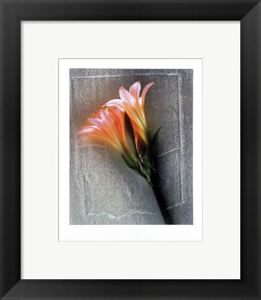 Framed Art Amarylis by Shoji Yoshida | 11 3/4 x 9 1/2
