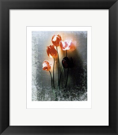 Framed Art Five Tulips by Shoji Yoshida | 11 3/4 x 9 1/2