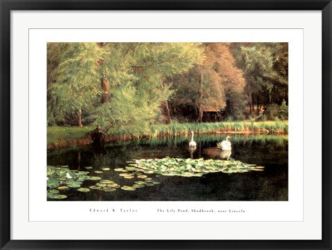 Framed The Lily Pond, Shudbrook, Near Lincoln by Edward R. Taylor