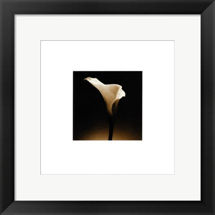 Framed Art Flower Series XII by Walter Gritsik | 12 x 12