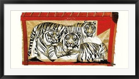 Framed Tiger Trio by Rolf Knie | 19 3/4 x 39 1/2