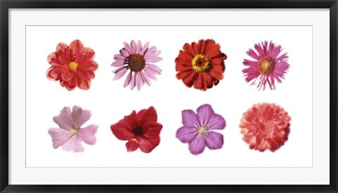 Framed Petales Rouges et Roses by Tasmin Phoenix | 19 3/4 x 39 1/2