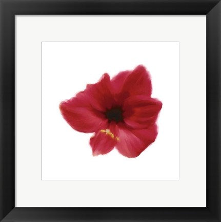 Framed Art Petales Rouges I by Tasmin Phoenix | 11 3/4 x 11 3/4