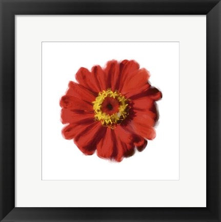 Framed Art Petales Rouges II by Tasmin Phoenix | 11 3/4 x 11 3/4