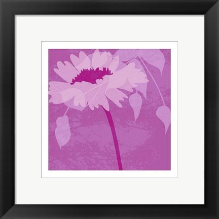 Framed Art Boshoku by Kate Knight | 11 3/4 x 11 3/4